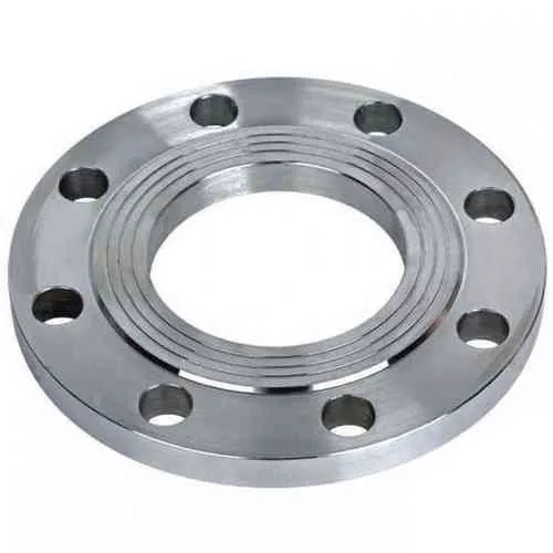 Stainless Steel 409 Forged Flanges